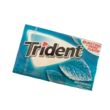 Trident Wintergreen Gum